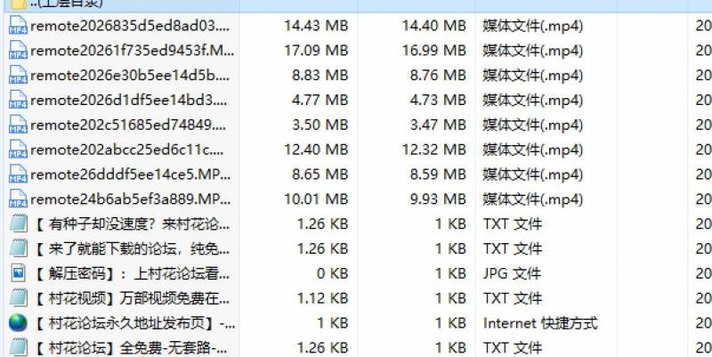 全网首发自购主播小奶猫辛巴教主，敌总福利视频[8V 80MB][百度云永链]